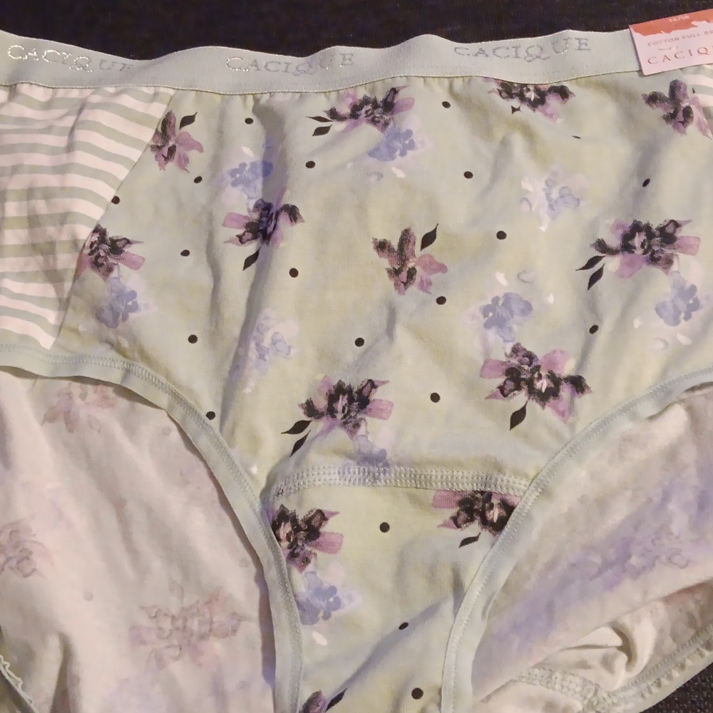 Ladies panties